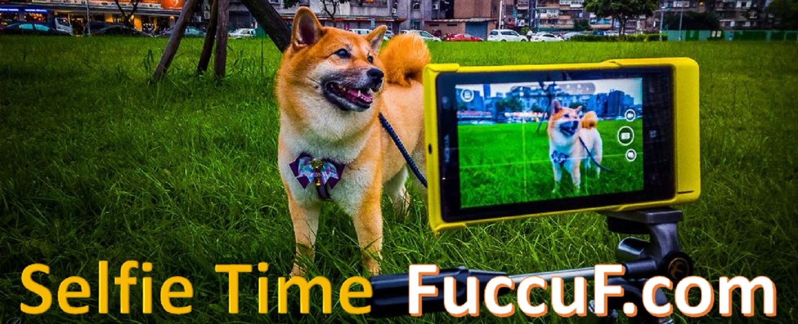 FuccuF