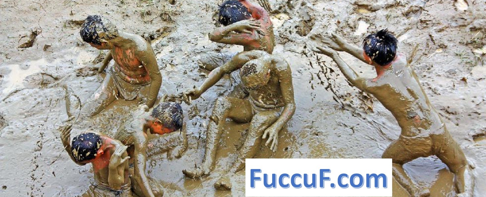 FuccuF